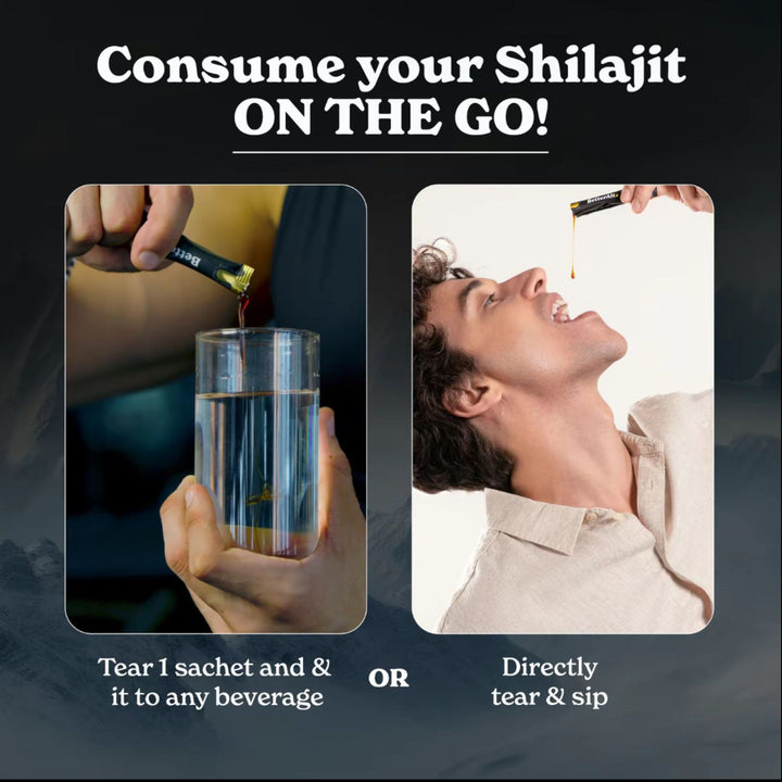 Torlen® Shilajit Honey Sticks