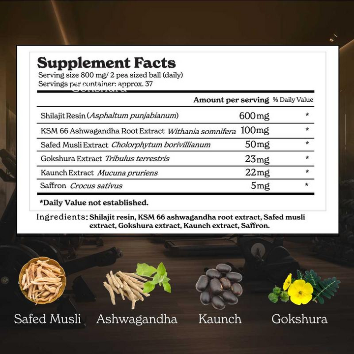 Torlen® Himalayan GOLD+ Shilajit Resin